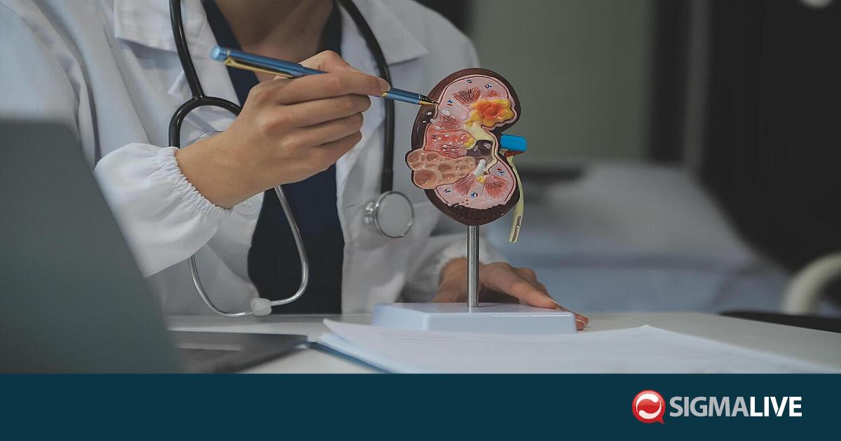 &Pi;&alpha;&gamma;&kappa;ό&sigma;&mu;&iota;&alpha; &Eta;&mu;έ&rho;&alpha; &gamma;&iota;&alpha; &tau;&omicron;&nu; &Kappa;&alpha;&rho;&kappa;ί&nu;&omicron; &tau;&omicron;&upsilon; &Nu;&epsilon;&phi;&rho;&omicron;ύ
