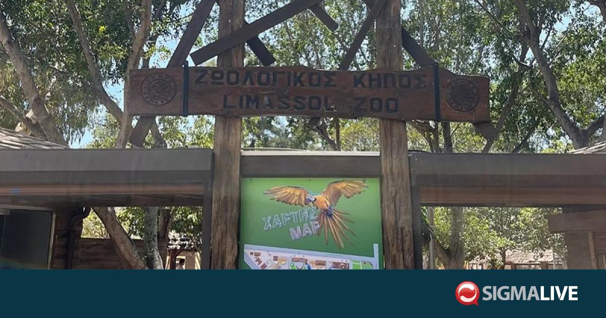 &Lambda;&epsilon;&mu;&epsilon;&sigma;ό&sigmaf;: &Alpha;&pi;&omicron;&rho;&rho;ί&phi;&theta;&eta;&kappa;&epsilon; &eta; &pi;&rho;ό&tau;&alpha;&sigma;&eta; &gamma;&iota;&alpha; &kappa;&alpha;&tau;ά&rho;&gamma;&eta;&sigma;&eta; &tau;&omicron;&upsilon; &Zeta;&omega;&omicron;&lambda;&omicron;&gamma;&iota;&kappa;&omicron;ύ &Kappa;ή&pi;&omicron;&upsilon;