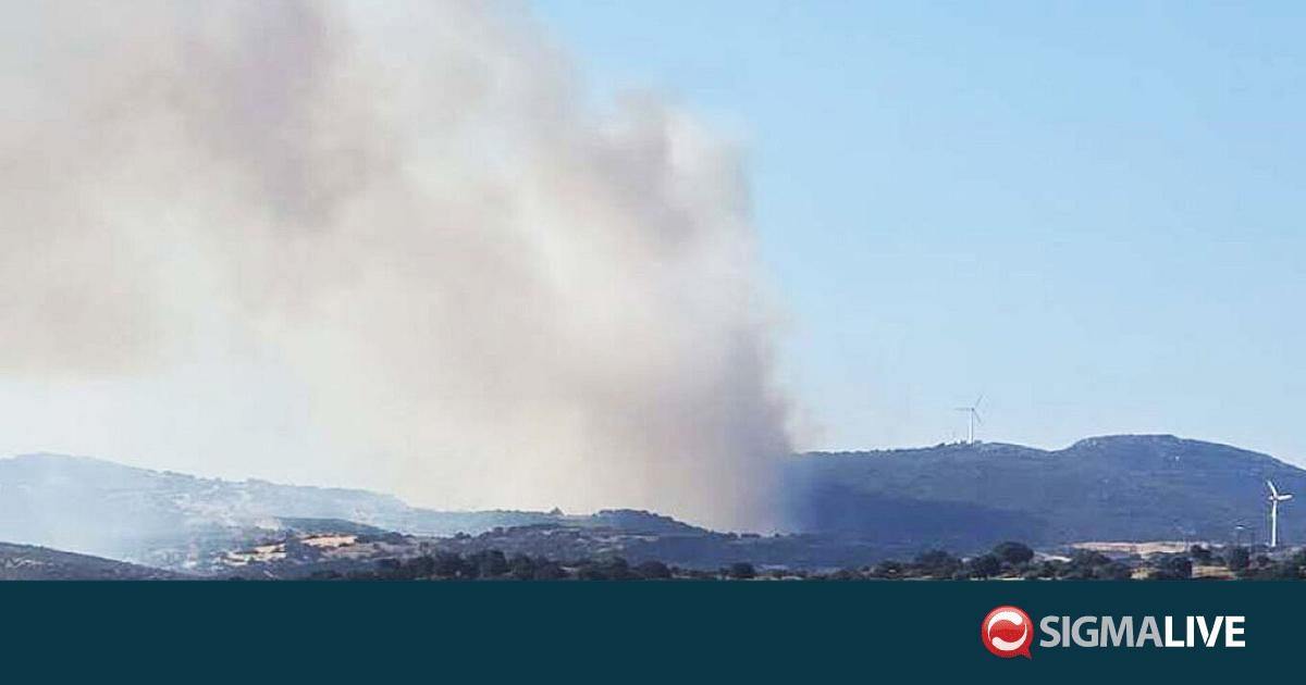 &Mu;&epsilon;&gamma;ά&lambda;&eta; &phi;&omega;&tau;&iota;ά &sigma;&epsilon; &delta;ά&sigma;&omicron;&sigmaf; &sigma;&tau;&eta;&nu; &Epsilon;ύ&beta;&omicron;&iota;&alpha;
