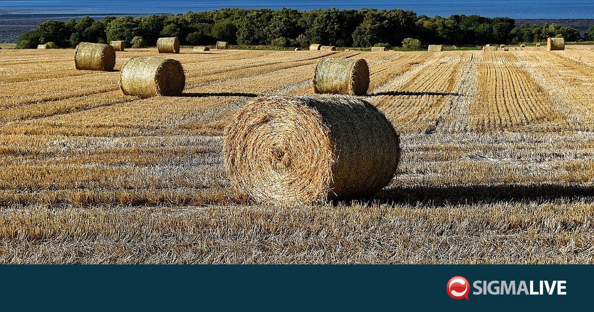 &Lambda;ά&rho;&nu;&alpha;&kappa;&alpha;: &Phi;&omega;&tau;&iota;ά &sigma;&epsilon; &pi;ά&lambda;&epsilon;&sigmaf; &sigma;&alpha;&nu;&omicron;ύ &ndash; &Xi;&epsilon;&kappa;ί&nu;&eta;&sigma;&epsilon; &alpha;&pi;ό &tau;&eta;&nu; ά&kappa;&rho;&eta; &tau;&omicron;&upsilon; &delta;&rho;ό&mu;&omicron;&upsilon;