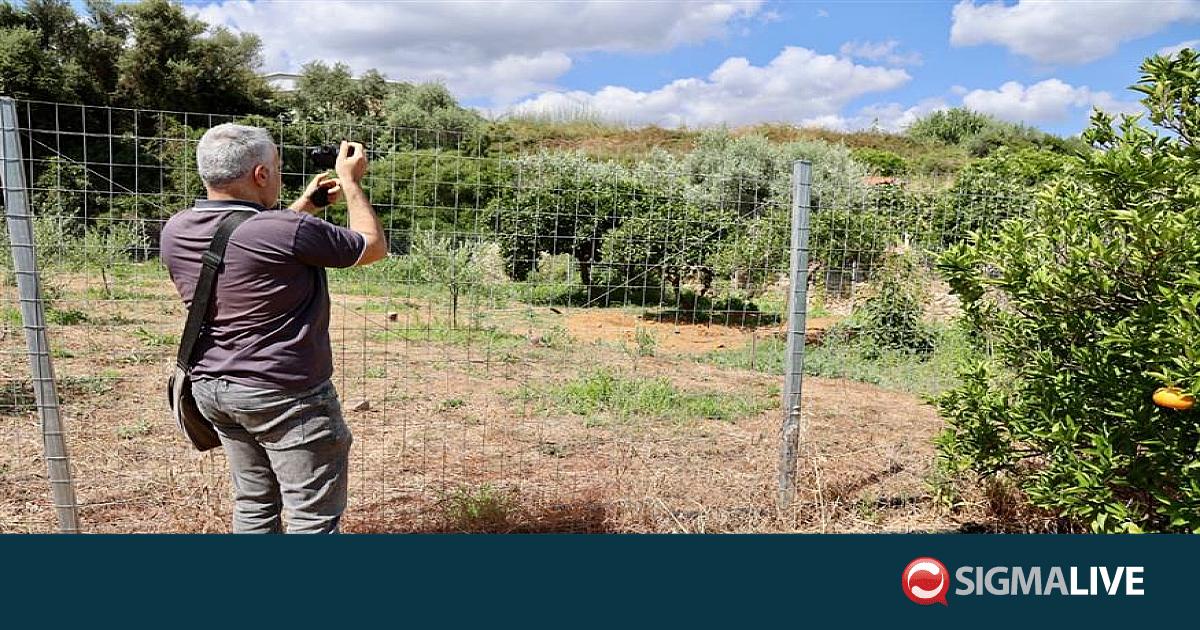 &Kappa;&rho;ή&tau;&eta;: &Delta;&epsilon;&mu;έ&nu;&eta; &chi;&epsilon;&iota;&rho;&omicron;&pi;ό&delta;&alpha;&rho;&alpha; &kappa;&alpha;&iota; &mu;&epsilon; &tau;&omicron; &sigma;&tau;ό&mu;&alpha; &sigma;&phi;&rho;&alpha;&gamma;&iota;&sigma;&mu;έ&nu;&omicron; &beta;&rho;έ&theta;&eta;&kappa;&epsilon; &eta; ά&tau;&upsilon;&chi;&eta; 45&chi;&rho;&omicron;&nu;&eta;
