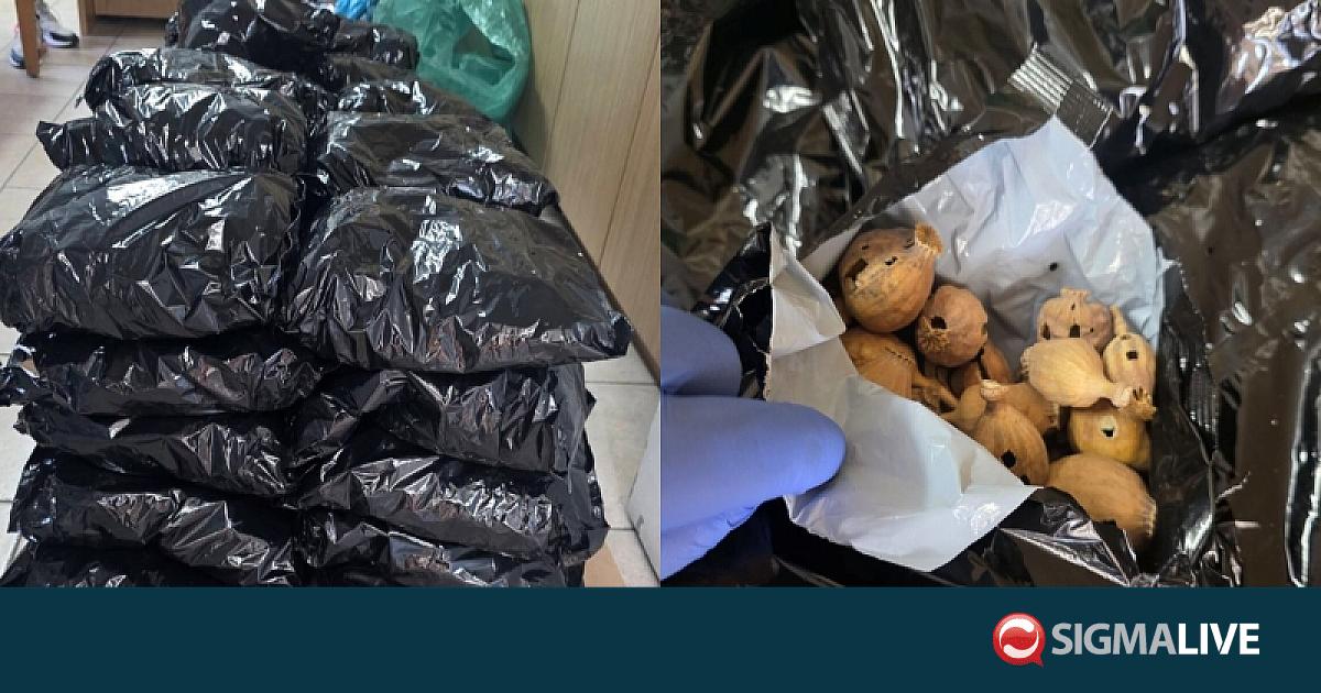 &Tau;&sigma;ά&kappa;&omega;&sigma;&alpha;&nu; 35&chi;&rho;&omicron;&nu;&omicron; &mu;&epsilon; 10 &kappa;&iota;&lambda;ά &lambda;&omicron;&beta;&omicron;ύ&sigmaf; &pi;&alpha;&pi;&alpha;&rho;&omicron;ύ&nu;&alpha;&sigmaf;&ndash; &Pi;&alpha;&rho;ά&nu;&omicron;&mu;&alpha; &sigma;&tau;&eta;&nu; &Kappa;ύ&pi;&rho;&omicron; &alpha;&pi;ό &tau;&omicron; 2022