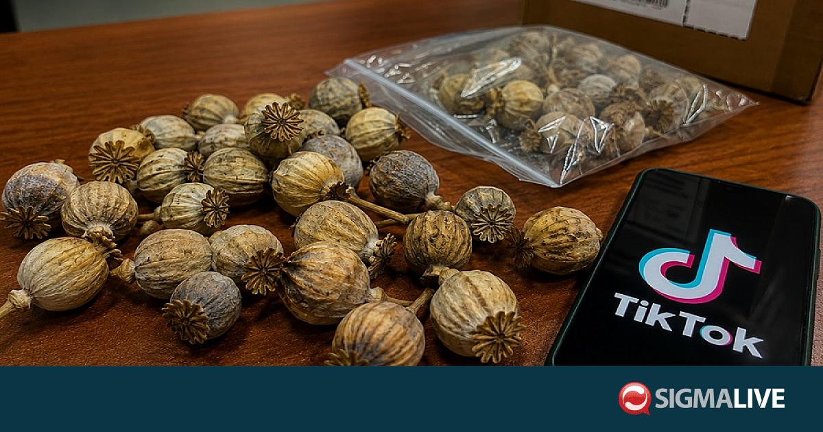 &laquo;&Mu;&alpha;&zeta;&epsilon;ύ&epsilon;&iota;&raquo; &pi;&alpha;&pi;&alpha;&rho;&omicron;ύ&nu;&epsilon;&sigmaf; &eta; &Upsilon;&Kappa;&Alpha;&Nu; &ndash; &Sigma;&tau;&alpha; ί&chi;&nu;&eta; &delta;&iota;&alpha;&kappa;&iota;&nu;&eta;&tau;ώ&nu; &pi;&omicron;&upsilon; &tau;&iota;&sigmaf; &pi;&omega;&lambda;&omicron;ύ&sigma;&alpha;&nu; &mu;έ&sigma;&omega; TikTok