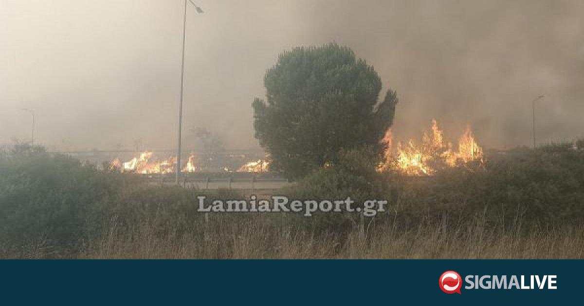 &Mu;&epsilon;&gamma;ά&lambda;&eta; &pi;&upsilon;&rho;&kappa;&alpha;&gamma;&iota;ά &sigma;&tau;&eta; &Beta;&omicron;&iota;&omega;&tau;ί&alpha;: 16 &epsilon;&nu;&alpha;έ&rho;&iota;&alpha; &sigma;&tau;&eta; &laquo;&mu;ά&chi;&eta;&raquo; &tau;&eta;&sigmaf; &kappa;&alpha;&tau;ά&sigma;&beta;&epsilon;&sigma;&eta;&sigmaf; (vid)