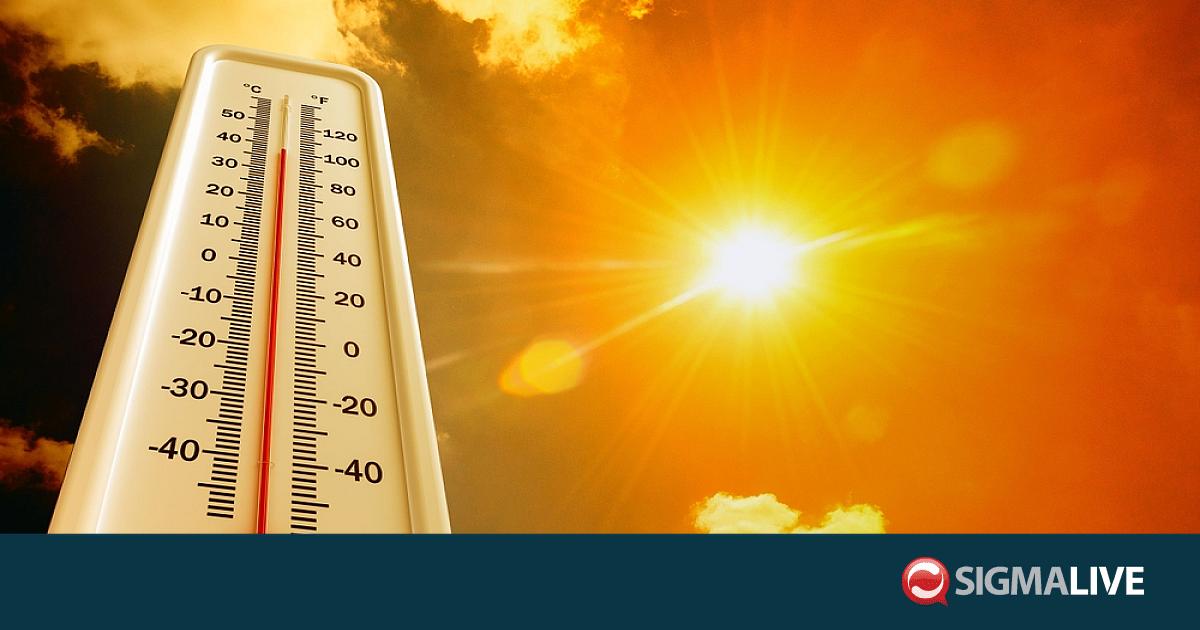 &Sigma;&upsilon;&sigma;&tau;ά&sigma;&epsilon;&iota;&sigmaf; &Eta;&Epsilon; &gamma;&iota;&alpha; &tau;&omicron;&nu; &kappa;&alpha;ύ&sigma;&omega;&nu;&alpha; &kappa;&alpha;&iota; &alpha;&pi;&lambda;έ&sigmaf; &epsilon;&nu;έ&rho;&gamma;&epsilon;&iota;&epsilon;&sigmaf; &pi;&omicron;&upsilon; &sigma;ώ&zeta;&omicron;&upsilon;&nu; &zeta;&omega;έ&sigmaf;