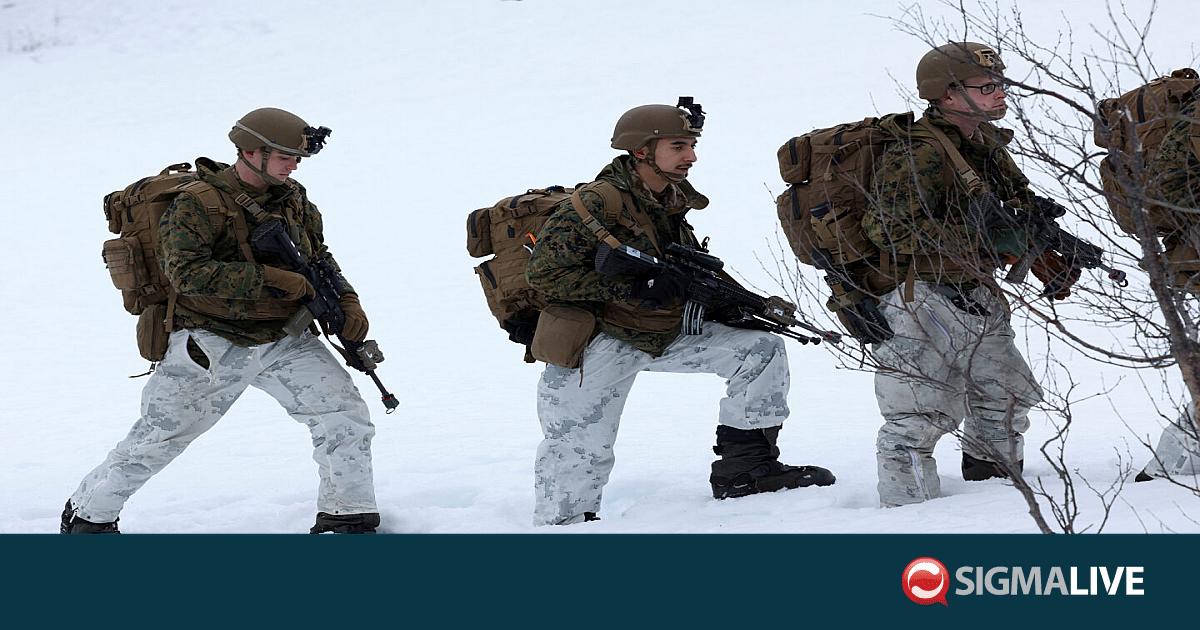 &Delta;&alpha;&nu;ί&alpha;: &Nu;&epsilon;&omicron;&sigma;ύ&lambda;&lambda;&epsilon;&kappa;&tau;&omicron;&iota; &theta;&alpha; &alpha;&nu;&alpha;&pi;&tau;&upsilon;&chi;&theta;&omicron;ύ&nu; &sigma;&tau;&eta; &Gamma;&rho;&omicron;&iota;&lambda;&alpha;&nu;&delta;ί&alpha;