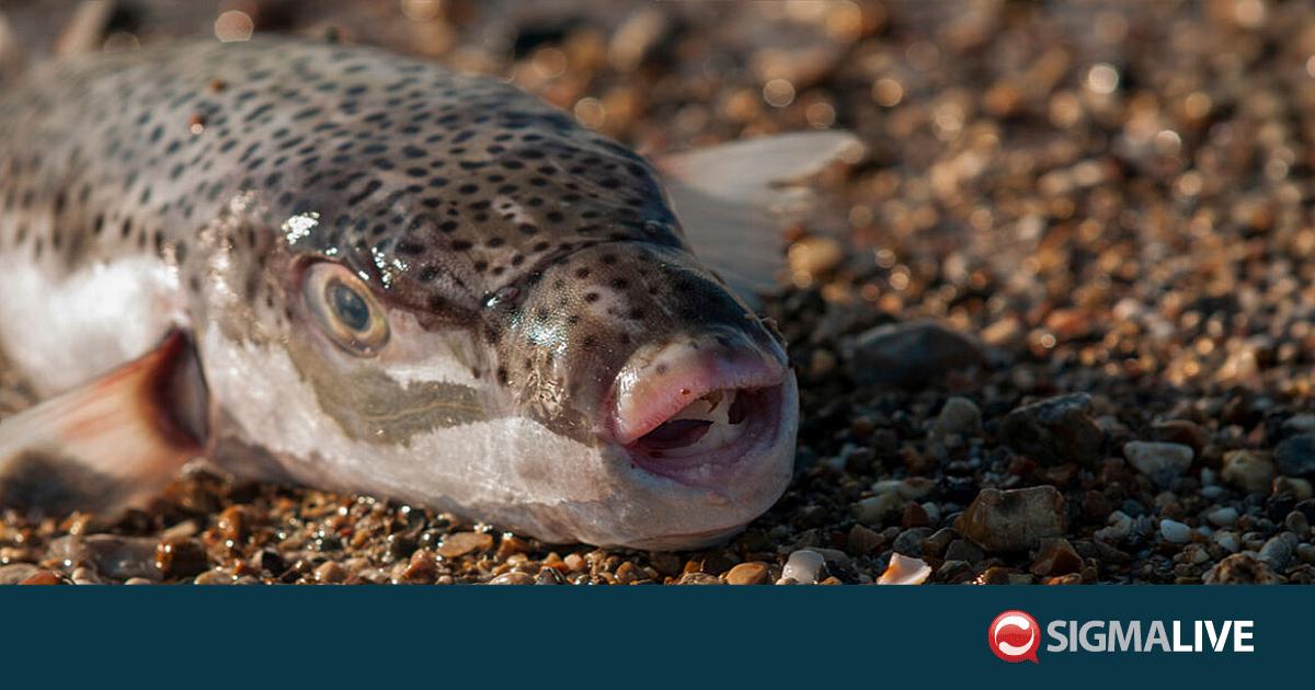 &Tau;&Alpha;&Theta;&Epsilon;: &Omicron;&iota; &lambda;&omicron;&upsilon;ό&mu;&epsilon;&nu;&omicron;&iota; &delta;&epsilon;&nu; &delta;&iota;&alpha;&tau;&rho;έ&chi;&omicron;&upsilon;&nu; &kappa;&alpha;&nu;έ&nu;&alpha;&nu; &iota;&delta;&iota;&alpha;ί&tau;&epsilon;&rho;&omicron; &kappa;ί&nu;&delta;&upsilon;&nu;&omicron; &alpha;&pi;ό &tau;&omicron;&nu; &lambda;&alpha;&gamma;&omicron;&kappa;έ&phi;&alpha;&lambda;&omicron;