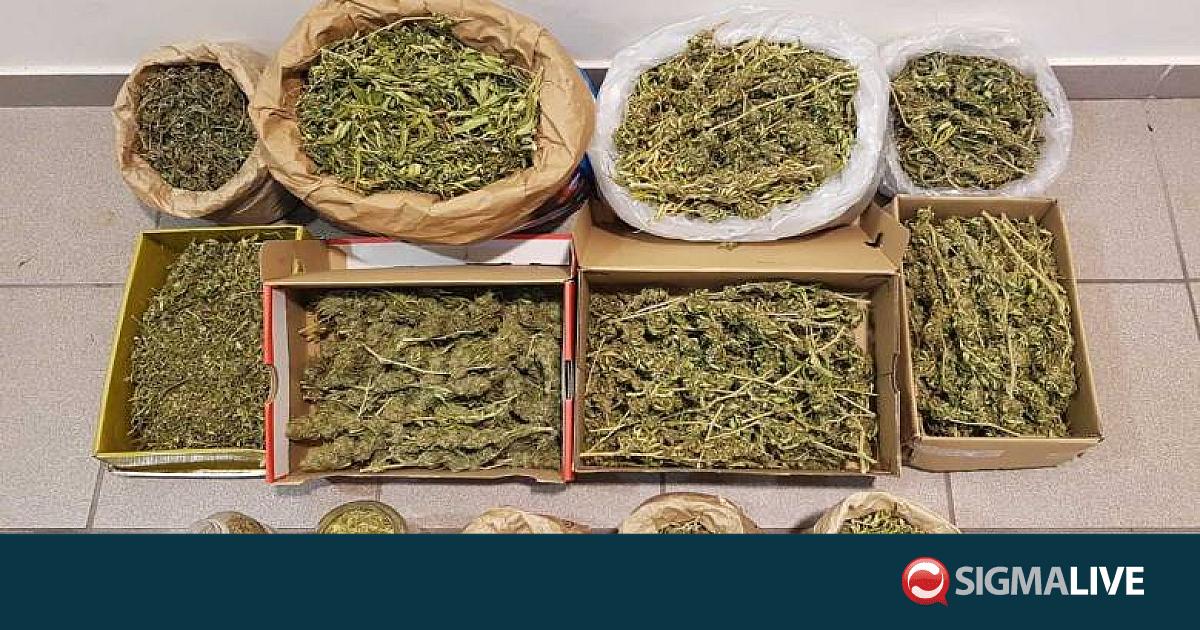 &Epsilon;&Epsilon;: &Kappa;&alpha;&tau;&alpha;&sigma;&chi;έ&theta;&eta;&kappa;&alpha;&nu; 134,5 &tau;ό&nu;&omicron;&iota; &kappa;&omicron;&kappa;&alpha;ΐ&nu;&eta;&sigmaf;, 13,1 &kappa;ά&nu;&nu;&alpha;&beta;&eta;&sigmaf;, 18 &epsilon;&kappa;. &tau;&epsilon;&mu;ά&chi;&iota;&alpha; &tau;&sigma;&iota;&gamma;ά&rho;&omega;&nu;