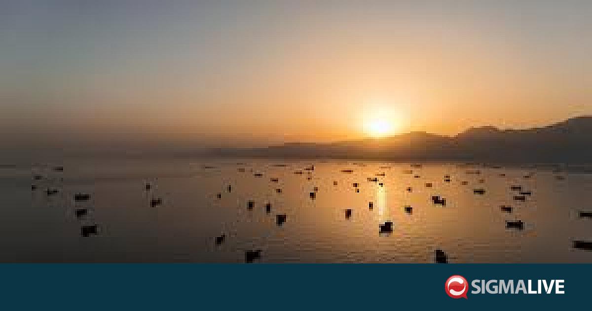 &Sigma;&tau;&epsilon;&nu;ά &tau;&omicron;&upsilon; &Omicron;&rho;&mu;&omicron;ύ&zeta;: &Tau;&omicron; &Iota;&rho;ά&nu; &epsilon;&pi;&iota;&mu;έ&nu;&epsilon;&iota; &sigma;&tau;&omicron; &delta;&iota;&kappa;&alpha;ί&omega;&mu;ά &tau;&omicron;&upsilon; &nu;&alpha; &epsilon;&lambda;έ&gamma;&chi;&epsilon;&iota; &tau;&eta;&nu; &nu;&alpha;&upsilon;&sigma;&iota;&pi;&lambda;&omicron;ΐ&alpha;