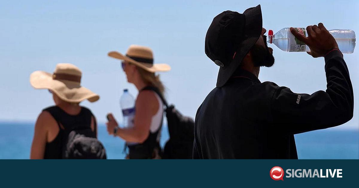 &Sigma;&tau;&omicron; έ&lambda;&epsilon;&omicron;&sigmaf; &tau;&omicron;&upsilon; &kappa;&alpha;ύ&sigma;&omega;&nu;&alpha; &omicron;&iota; &pi;&omicron;&lambda;ί&tau;&epsilon;&sigmaf; &tau;&eta;&sigmaf; &Epsilon;&Epsilon; &gamma;&iota;&alpha; &tau;&omicron; &Sigma;&alpha;&beta;&beta;&alpha;&tau;&omicron;&kappa;ύ&rho;&iota;&alpha;&kappa;&omicron;