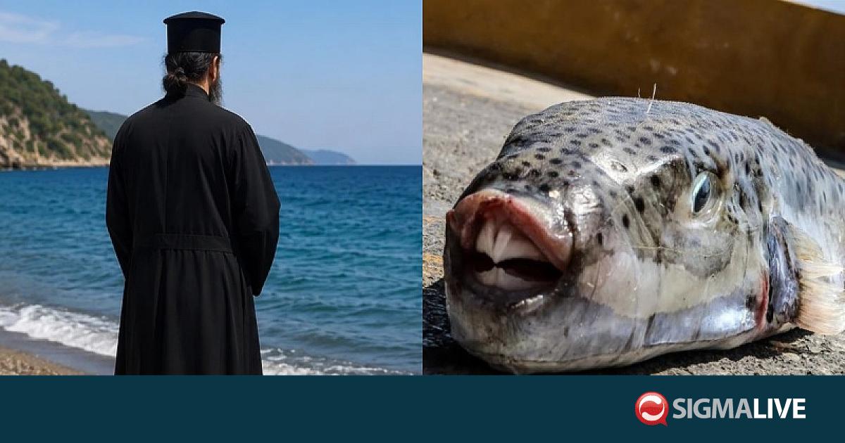 &Epsilon;&lambda;&lambda;ά&delta;&alpha;: &laquo;&Mu;&omicron;&nu;&alpha;&chi;ό&sigmaf;&raquo; YouTuber έ&kappa;&alpha;&nu;&epsilon;... &epsilon;&xi;&omicron;&rho;&kappa;&iota;&sigma;&mu;ό &sigma;&epsilon; &lambda;&alpha;&gamma;&omicron;&kappa;έ&phi;&alpha;&lambda;&omicron;
