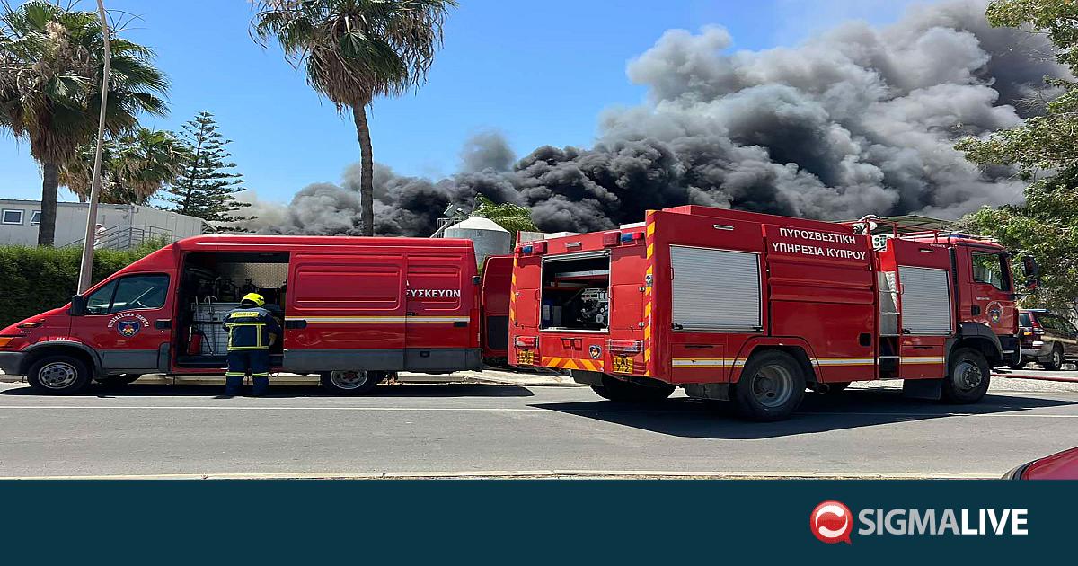 &Alpha;&nu;&epsilon;&xi;έ&lambda;&epsilon;&gamma;&kappa;&tau;&eta; &eta; &phi;&omega;&tau;&iota;ά &sigma;&tau;&eta;&nu; &Alpha;&rho;&alpha;&delta;ί&pi;&pi;&omicron;&upsilon;