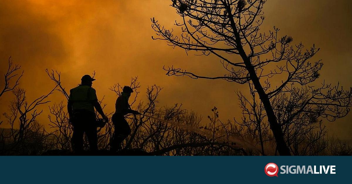 &Sigma;&epsilon; &epsilon;&xi;έ&lambda;&iota;&xi;&eta; &mu;&epsilon;&gamma;ά&lambda;&eta; &phi;&omega;&tau;&iota;ά &sigma;&tau;&eta; &Sigma;&mu;ύ&rho;&nu;&eta;