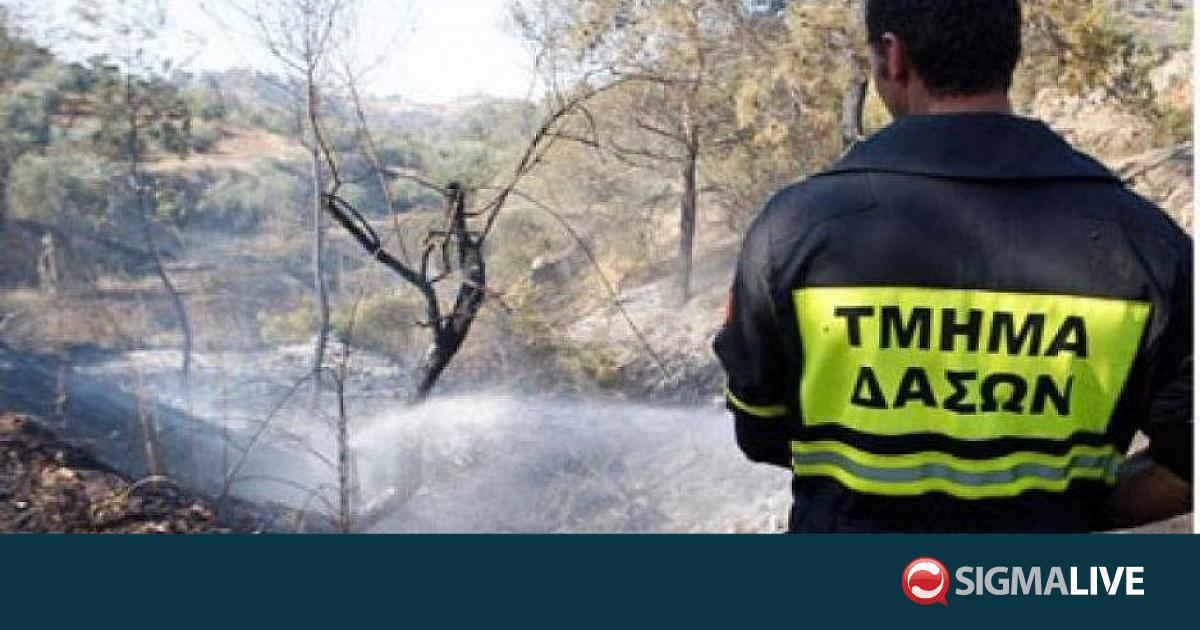 &Sigma;&epsilon; &sigma;&upsilon;&nu;&alpha;&gamma;&epsilon;&rho;&mu;ό &tau;έ&theta;&eta;&kappa;&epsilon; &tau;&omicron; &Tau;&mu;ή&mu;&alpha; &Delta;&alpha;&sigma;ώ&nu; &mu;&epsilon;&tau;ά &alpha;&pi;ό &delta;ύ&omicron; &pi;&upsilon;&rho;&kappa;&alpha;&gamma;&iota;έ&sigmaf;
