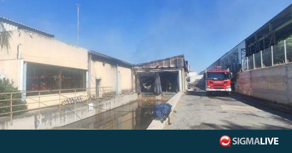 &Delta;&iota;&alpha;&chi;&omega;&rho;&iota;&sigma;&mu;ό &beta;&iota;&omicron;&mu;&eta;&chi;&alpha;&nu;&iota;&kappa;ώ&nu;-&omicron;&iota;&kappa;&iota;&sigma;&tau;&iota;&kappa;ώ&nu; &pi;&epsilon;&rho;&iota;&omicron;&chi;ώ&nu; &zeta;&eta;&tau;ά &omicron; &Delta;ή&mu;&alpha;&rho;&chi;&omicron;&sigmaf; &Alpha;&rho;&alpha;&delta;ί&pi;&pi;&omicron;&upsilon;