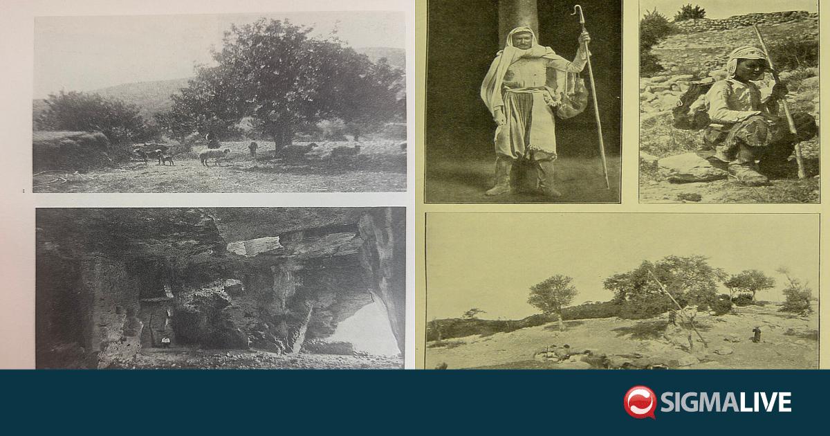 &Alpha;&phi;&theta;ώ&delta;&eta;&sigmaf; &pi;&upsilon;&rho;&epsilon;&tau;ό&sigmaf;: Ό&tau;&alpha;&nu; &eta; &iota;&sigma;&tau;&omicron;&rho;ί&alpha; &tau;&eta;&sigmaf; &Kappa;ύ&pi;&rho;&omicron;&upsilon; &kappa;&iota;&nu;&delta;&upsilon;&nu;&epsilon;ύ&epsilon;&iota; &nu;&alpha; &chi;&alpha;&theta;&epsilon;ί &mu;&alpha;&zeta;ί &mu;&epsilon; &kappa;&omicron;&pi;ά&delta;&iota;&alpha;