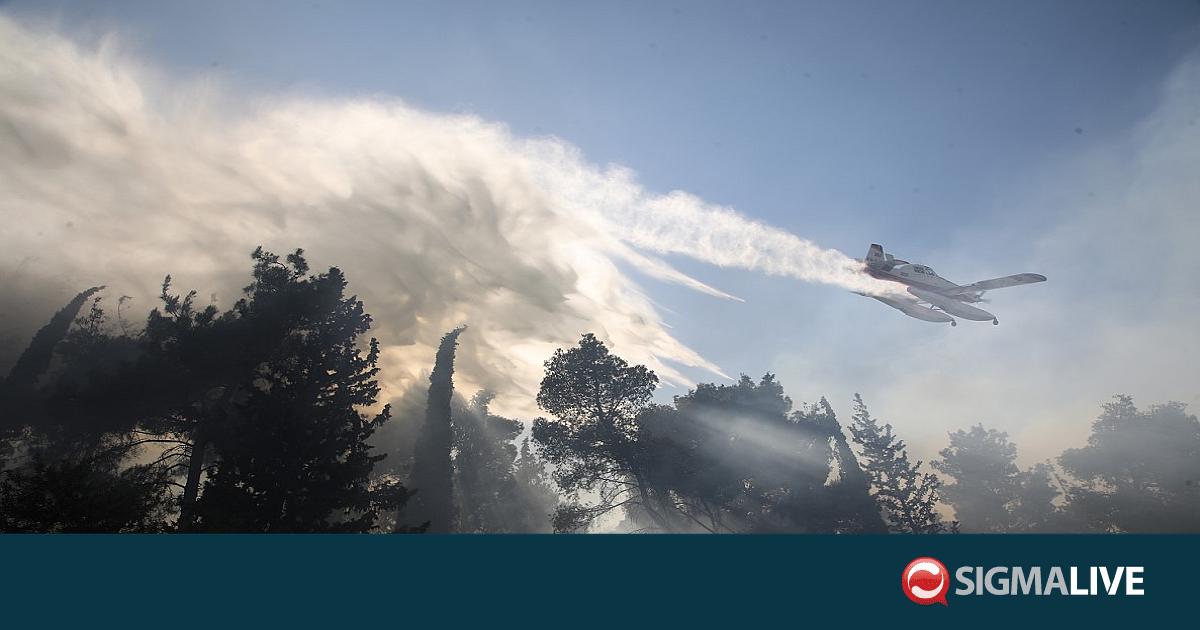 &Phi;&omega;&tau;&iota;ά &sigma;&tau;&omicron; &Delta;&epsilon;&rho;&beta;έ&nu;&iota;: &Alpha;&gamma;&nu;&omicron;&epsilon;ί&tau;&alpha;&iota; &omicron; &gamma;&iota;&omicron;&sigmaf; &tau;&omicron;&upsilon; ά&nu;&delta;&rho;&alpha; &pi;&omicron;&upsilon; &beta;&rho;έ&theta;&eta;&kappa;&epsilon; &nu;&epsilon;&kappa;&rho;ό&sigmaf;