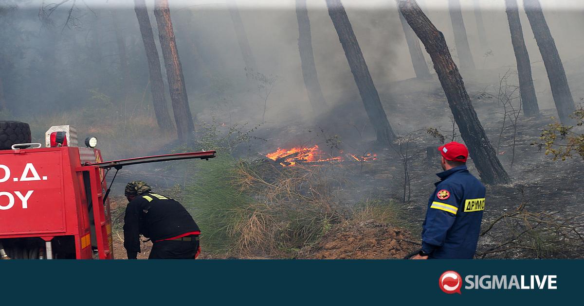 &Tau;&rho;&alpha;&gamma;&omega;&delta;ί&alpha; &sigma;&tau;&omicron; &Delta;&epsilon;&rho;&beta;έ&nu;&iota;: &Epsilon;&nu;&tau;&omicron;&pi;ί&sigma;&tau;&eta;&kappa;&epsilon; &kappa;&alpha;&iota; &delta;&epsilon;ύ&tau;&epsilon;&rho;&eta; &sigma;&omicron;&rho;ό&sigmaf; &mu;&epsilon;&tau;ά &tau;&eta; &mu;&epsilon;&gamma;ά&lambda;&eta; &phi;&omega;&tau;&iota;ά
