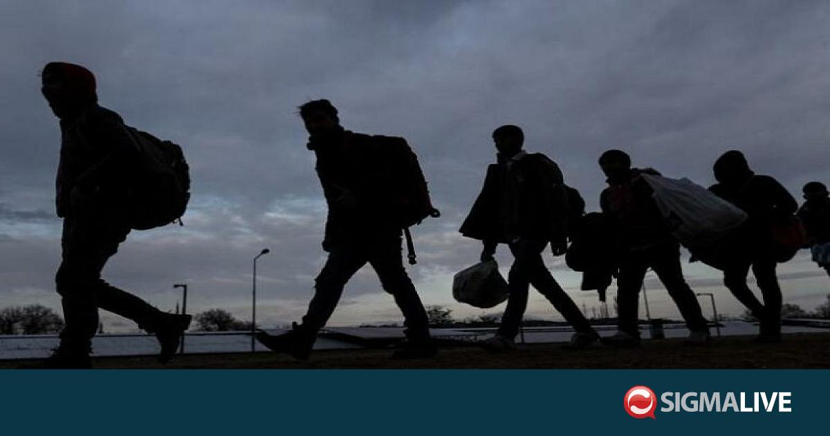 &Alpha;&nu;&tau;ί&theta;&epsilon;&tau;&omicron; &tau;&omicron; &Epsilon;&Lambda;&Alpha;&Mu; &sigma;&tau;&eta; &delta;&eta;&mu;&iota;&omicron;&upsilon;&rho;&gamma;ί&alpha; &delta;&omicron;&mu;ή&sigmaf; &phi;&iota;&lambda;&omicron;&xi;&epsilon;&nu;ί&alpha;&sigmaf; &mu;&epsilon;&tau;&alpha;&nu;&alpha;&sigma;&tau;ώ&nu; &sigma;&tau;&omicron;&nu; &Lambda;&upsilon;&kappa;&alpha;&beta;&eta;&tau;&tau;ό