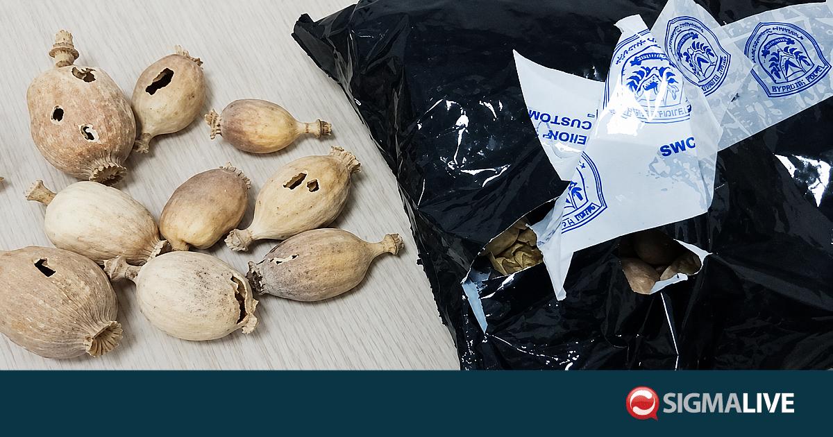 &Phi;&Omega;&Tau;&Omicron;: &Epsilon;&xi;&alpha;&rho;&theta;&rho;ώ&theta;&eta;&kappa;&epsilon; &kappa;ύ&kappa;&lambda;&omega;&mu;&alpha; &nu;&alpha;&rho;&kappa;&omega;&tau;&iota;&kappa;ώ&nu; &ndash; 21 &sigma;&upsilon;&lambda;&lambda;ή&psi;&epsilon;&iota;&sigmaf; &kappa;&alpha;&iota; &kappa;&alpha;&tau;ά&sigma;&chi;&epsilon;&sigma;&eta; 60 &kappa;&iota;&lambda;ώ&nu;