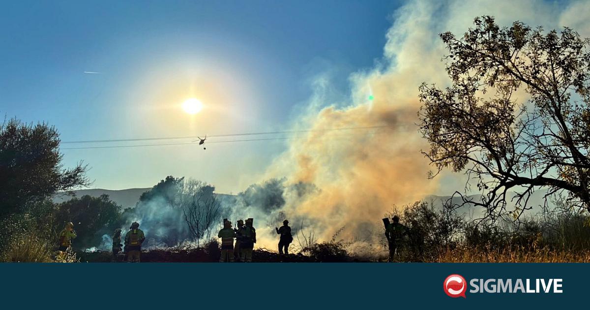 &Sigma;&epsilon; &pi;ύ&rho;&iota;&nu;&omicron; &kappa;&lambda;&omicron;&iota;ό &eta; &Pi;&omicron;&rho;&tau;&omicron;&gamma;&alpha;&lambda;ί&alpha;: &Zeta;ή&tau;&eta;&sigma;&epsilon; &delta;&iota;&epsilon;&theta;&nu;ή &beta;&omicron;ή&theta;&epsilon;&iota;&alpha;