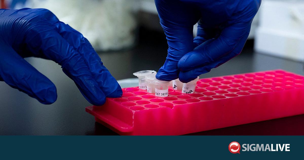 &Kappa;&omicron;&nu;&gamma;&kappa;ό: &Alpha;&upsilon;&xi;ή&theta;&eta;&kappa;&epsilon; &omicron; &alpha;&rho;&iota;&theta;&mu;ό&sigmaf; &tau;&omega;&nu; &kappa;&rho;&omicron;&upsilon;&sigma;&mu;ά&tau;&omega;&nu; &tau;&omicron;&upsilon; &iota;&omicron;ύ Έ&mu;&pi;&omicron;&lambda;&alpha;