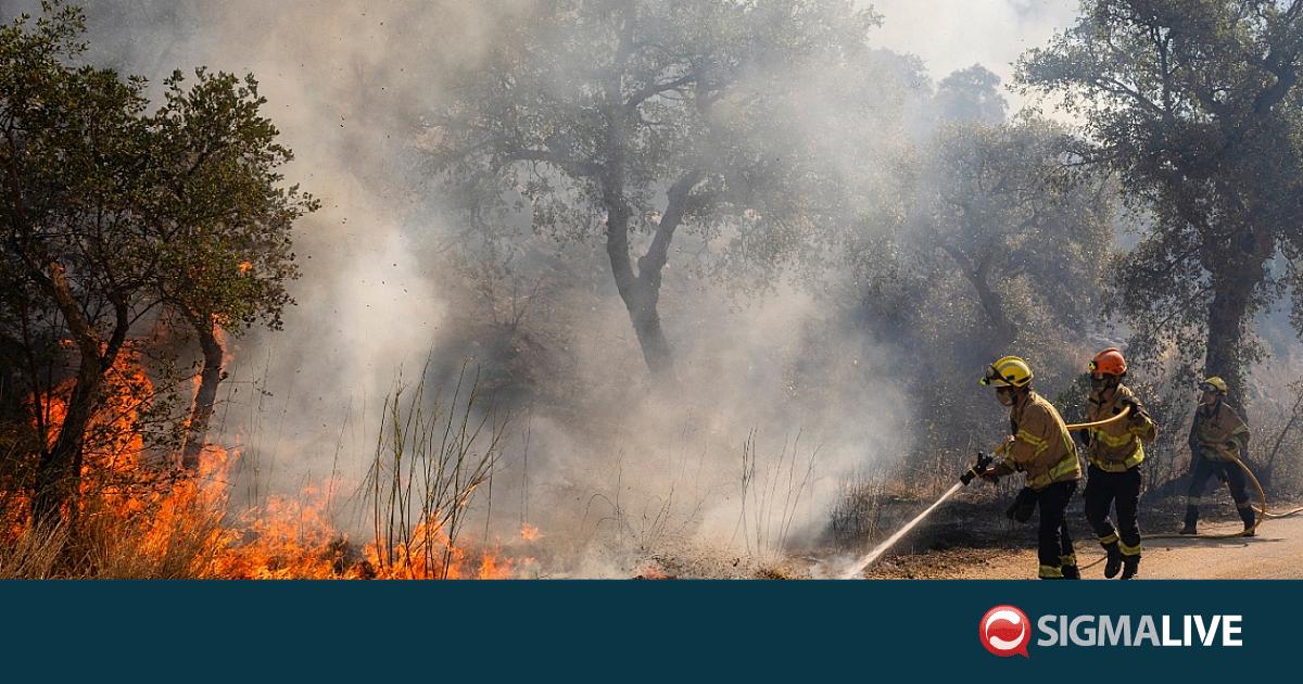 &Iota;&sigma;&pi;&alpha;&nu;ί&alpha;: &Sigma;&tau;ά&chi;&tau;&epsilon;&sigmaf; 22.000 &sigma;&tau;&rho;έ&mu;&mu;&alpha;&tau;&alpha; &alpha;&pi;ό &tau;&eta;&nu; &pi;&upsilon;&rho;&kappa;&alpha;&gamma;&iota;ά &kappa;&omicron;&nu;&tau;ά &sigma;&tau;&eta;&nu; &Kappa;ό&sigma;&tau;&alpha; &Mu;&pi;&rho;ά&beta;&alpha;