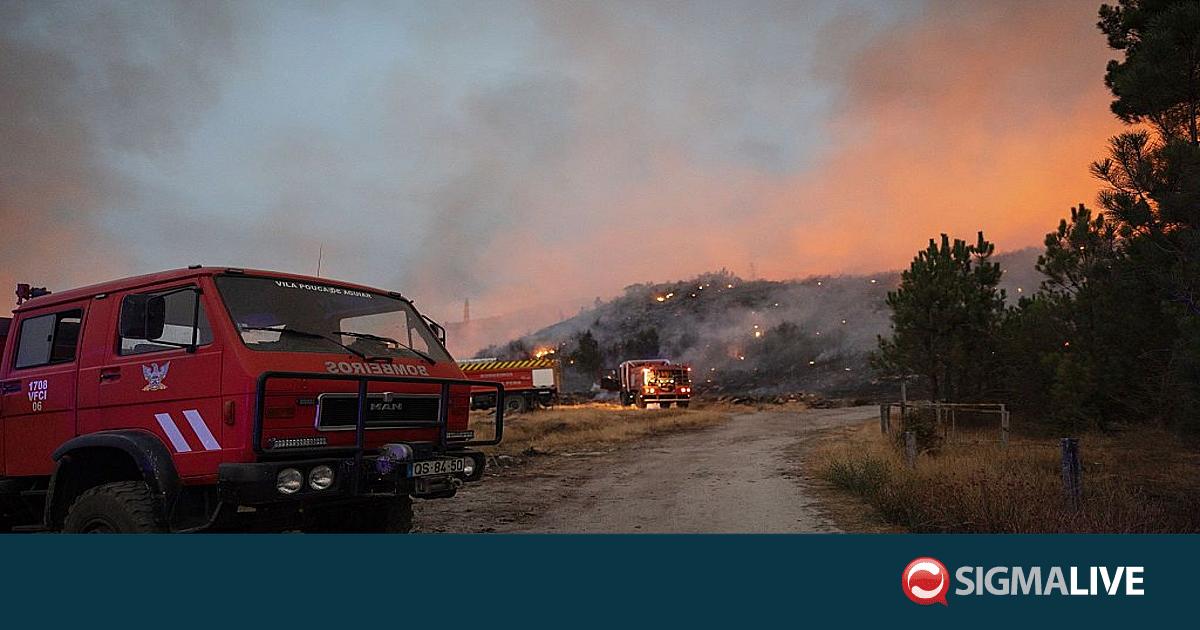 &Pi;ά&nu;&omega; &alpha;&pi;ό 100.000 &sigma;&tau;&rho;έ&mu;&mu;&alpha;&tau;&alpha; &kappa;&alpha;&mu;έ&nu;&alpha; &sigma;&tau;&eta;&nu; &Pi;&omicron;&rho;&tau;&omicron;&gamma;&alpha;&lambda;ί&alpha;