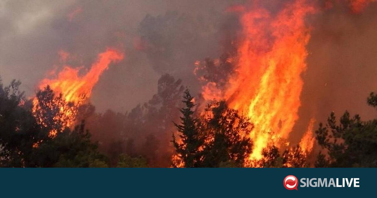 &laquo;&Sigma;&beta;ή&nu;&omicron;&upsilon;&nu;&raquo; &tau;&alpha; &kappa;&epsilon;&nu;ά &pi;&rho;&iota;&nu; &alpha;&nu;ά&psi;&omicron;&upsilon;&nu; &omicron;&iota; &phi;&omega;&tau;&iota;έ&sigmaf;