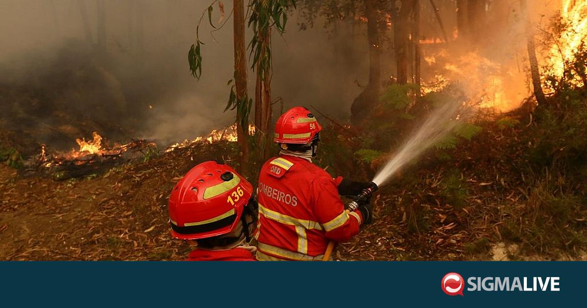 &Mu;ά&chi;&eta; &mu;&epsilon; &tau;&iota;&sigmaf; &phi;&lambda;ό&gamma;&epsilon;&sigmaf; &sigma;&epsilon; &Gamma;&alpha;&lambda;&lambda;ί&alpha;, &Iota;&sigma;&pi;&alpha;&nu;ί&alpha;, &Pi;&omicron;&rho;&tau;&omicron;&gamma;&alpha;&lambda;ί&alpha;
