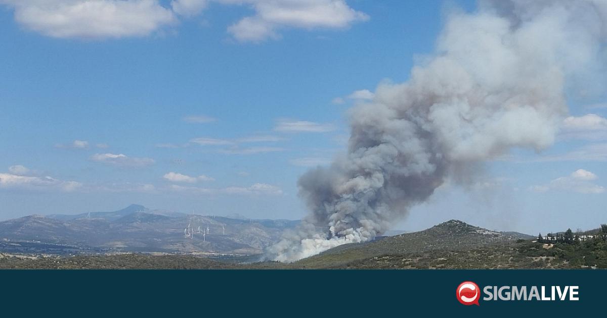 &Beta;&Iota;&Nu;&Tau;&Epsilon;&Omicron;: &Nu;έ&alpha; &mu;&epsilon;&gamma;ά&lambda;&eta; &phi;&omega;&tau;&iota;ά &sigma;&tau;&eta;&nu; &Epsilon;&lambda;&lambda;ά&delta;&alpha;