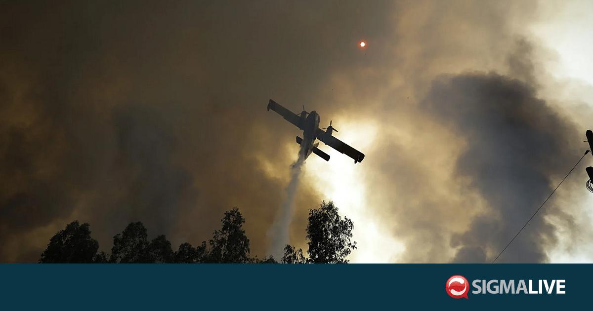 &Sigma;&tau;&omicron; &pi;&lambda;&epsilon;&upsilon;&rho;ό &tau;&eta;&sigmaf; &Gamma;&alpha;&lambda;&lambda;ί&alpha;&sigmaf; &eta; &Kappa;ύ&pi;&rho;&omicron;&sigmaf; &ndash; &Sigma;&tau;έ&lambda;&nu;&epsilon;&iota; &delta;ύ&omicron; &epsilon;&nu;&alpha;έ&rho;&iota;&alpha; &mu;έ&sigma;&alpha; &alpha;&epsilon;&rho;&omicron;&pi;&upsilon;&rho;ό&sigma;&beta;&epsilon;&sigma;&eta;&sigmaf;