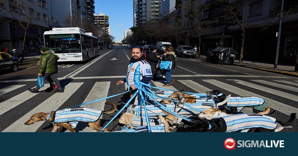 &laquo;La Perroneta&raquo;: &Eta; &laquo;&sigma;&upsilon;&mu;&mu;&omicron;&rho;ί&alpha;&raquo; &sigma;&kappa;ύ&lambda;&omega;&nu; &pi;&omicron;&upsilon; έ&gamma;&iota;&nu;&epsilon; viral &sigma;&tau;&eta;&nu; &Alpha;&rho;&gamma;&epsilon;&nu;&tau;&iota;&nu;ή (vid)