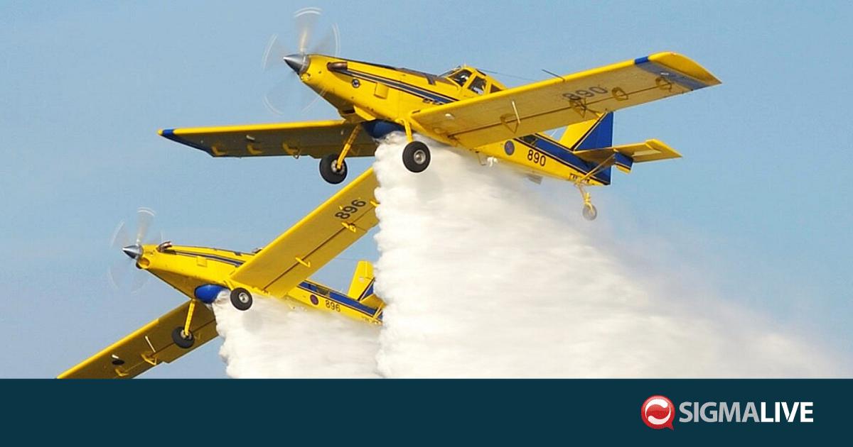&Sigma;&tau;&eta; &Sigma;&alpha;&rho;&delta;&eta;&nu;ί&alpha; &lambda;ό&gamma;&omega; &kappa;&alpha;&theta;&upsilon;&sigma;&tau;έ&rho;&eta;&sigma;&eta;&sigmaf; &tau;&alpha; &kappa;&upsilon;&pi;&rho;&iota;&alpha;&kappa;ά &alpha;&epsilon;&rho;&omicron;&sigma;&kappa;ά&phi;&eta;-&Alpha;ύ&rho;&iota;&omicron; &sigma;&tau;&eta; &Gamma;&alpha;&lambda;&lambda;ί&alpha;