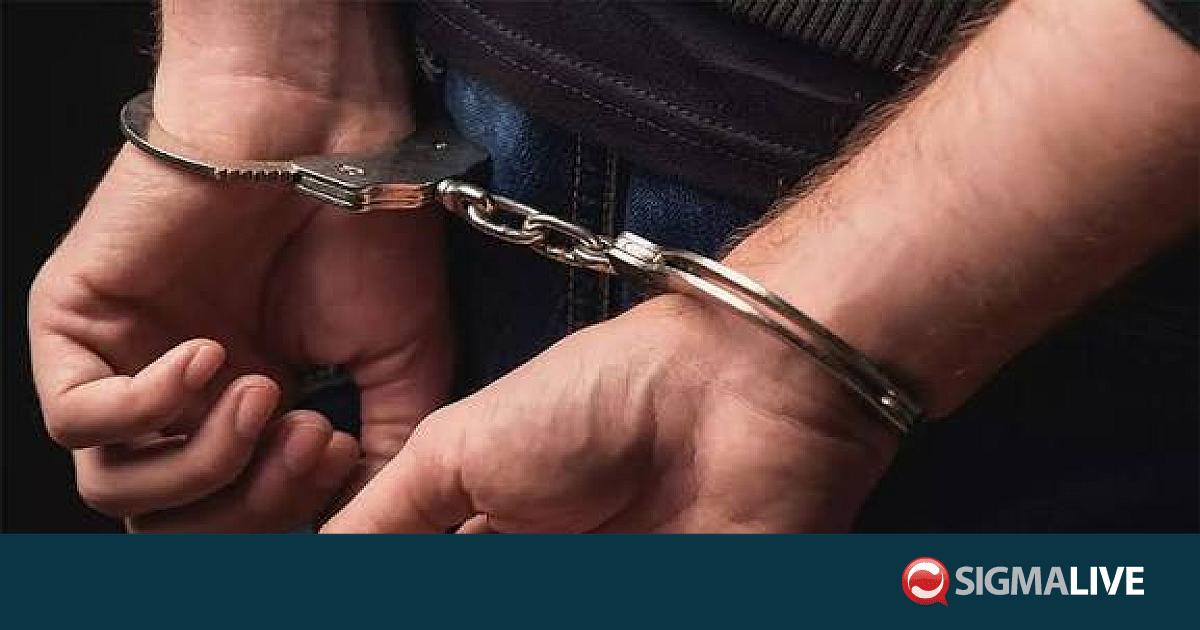 &Pi;ά&phi;&omicron;&sigmaf;: &Kappa;&omicron;&kappa;&alpha;ΐ&nu;&eta;, &mu;&epsilon;&theta;&alpha;&mu;&phi;&epsilon;&tau;&alpha;&mu;ί&nu;&eta; &kappa;&alpha;&iota; &kappa;ά&nu;&nu;&alpha;&beta;&eta; &sigma;&tau;&eta;&nu; &kappa;&alpha;&tau;&omicron;&chi;ή &delta;ύ&omicron; &nu;&epsilon;&alpha;&rho;ώ&nu;