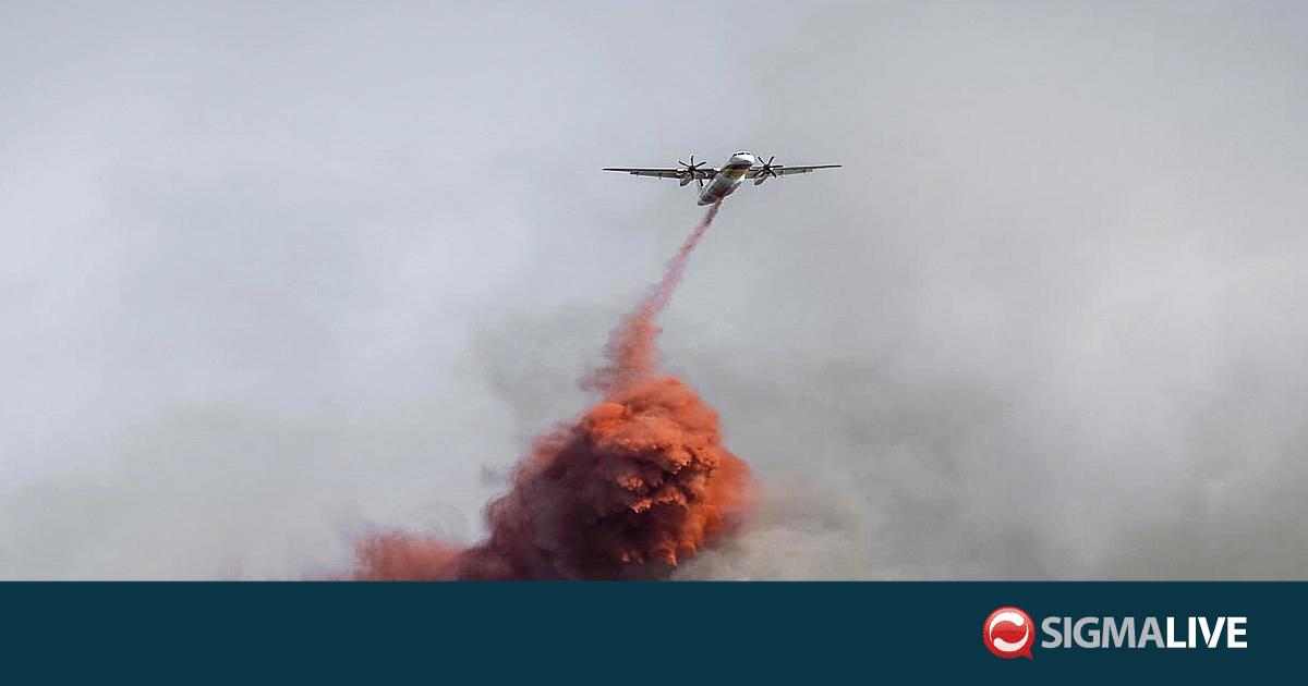 &Gamma;&alpha;&lambda;&lambda;ί&alpha;: &Nu;&epsilon;&kappa;&rho;ό&sigmaf; 22&chi;&rho;&omicron;&nu;&omicron;&sigmaf; &pi;&upsilon;&rho;&omicron;&sigma;&beta;έ&sigma;&tau;&eta;&sigmaf; &kappa;&alpha;&tau;ά &tau;&eta; &delta;&iota;ά&rho;&kappa;&epsilon;&iota;&alpha; &kappa;&alpha;&tau;ά&sigma;&beta;&epsilon;&sigma;&eta;&sigmaf; &pi;&upsilon;&rho;&kappa;&alpha;&gamma;&iota;ά&sigmaf;