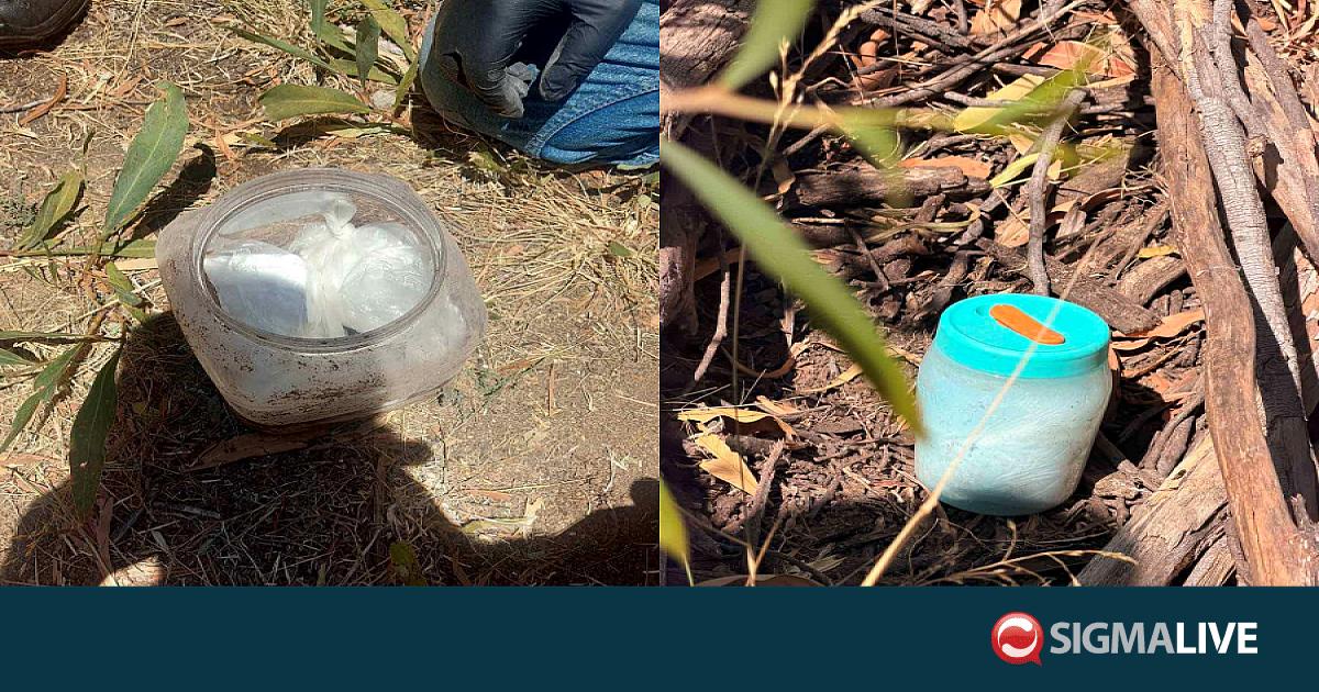 &Phi;&Omega;&Tau;&Omicron;: &Epsilon;&nu;&tau;&omicron;&pi;ί&sigma;&tau;&eta;&kappa;&alpha;&nu; 11 &kappa;&iota;&lambda;ά &kappa;&omicron;&kappa;&alpha;ΐ&nu;&eta;&sigmaf; &kappa;&alpha;&iota; &kappa;ά&nu;&nu;&alpha;&beta;&eta;&sigmaf;- &Epsilon;&pi;&alpha;&nu;&alpha;&sigma;&upsilon;&nu;&epsilon;&lambda;ή&phi;&theta;&eta;&sigma;&alpha;&nu; 2 ά&tau;&omicron;&mu;&alpha;