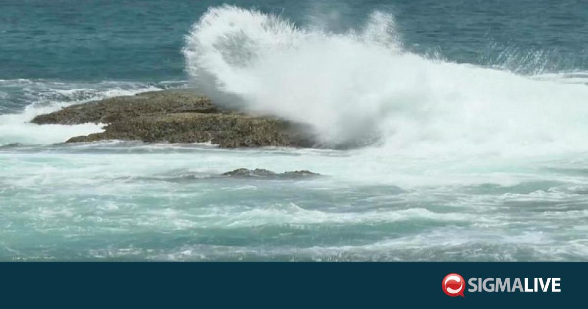 &Tau;&alpha;ϊ&beta;ά&nu;: &Chi;&iota;&lambda;&iota;ά&delta;&epsilon;&sigmaf; ά&nu;&theta;&rho;&omega;&pi;&omicron;&iota; &epsilon;&gamma;&kappa;&alpha;&tau;έ&lambda;&epsilon;&iota;&psi;&alpha;&nu; &tau;&iota;&sigmaf; &epsilon;&sigma;&tau;ί&epsilon;&sigmaf; &tau;&omicron;&upsilon;&sigmaf; &epsilon;&nu;ό&psi;&epsilon;&iota; &tau;&omicron;&upsilon; &tau;&upsilon;&phi;ώ&nu;&alpha; &Mu;&pi;ά&beta;&iota;