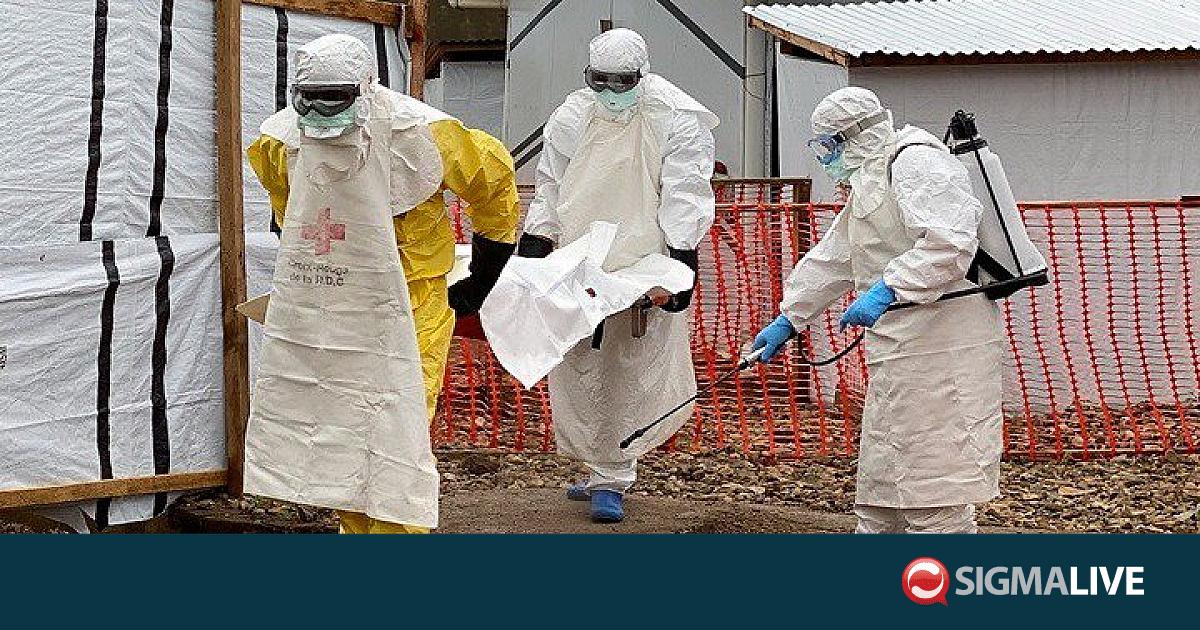 Έ&mu;&pi;&omicron;&lambda;&alpha; &sigma;&tau;&eta; &Lambda;&Delta; &Kappa;&omicron;&nu;&gamma;&kappa;ό: 648 &theta;ά&nu;&alpha;&tau;&omicron;&iota; &alpha;&pi;ό 1.830 &epsilon;&pi;&iota;&beta;&epsilon;&beta;&alpha;&iota;&omega;&mu;έ&nu;&alpha; &kappa;&rho;&omicron;ύ&sigma;&mu;&alpha;&tau;&alpha;