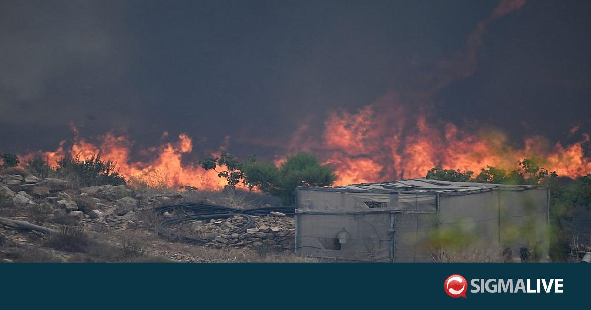 &Phi;&omicron;&nu;&iota;&kappa;ή &pi;&upsilon;&rho;&kappa;&alpha;&gamma;&iota;ά &sigma;&tau;&eta;&nu; &Iota;&sigma;&pi;&alpha;&nu;ί&alpha;: &Sigma;&upsilon;&nu;&epsilon;&chi;ί&zeta;&epsilon;&tau;&alpha;&iota; &eta; &mu;ά&chi;