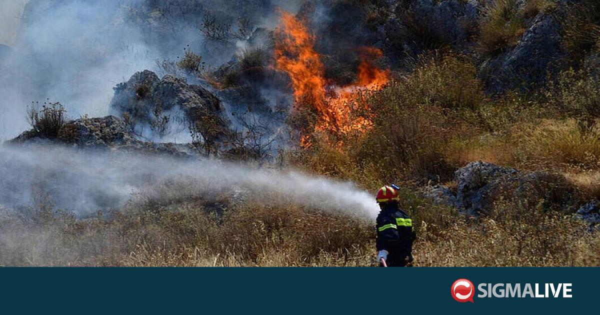 &Upsilon;&pi;ό έ&lambda;&epsilon;&gamma;&chi;&omicron; &phi;&omega;&tau;&iota;ά &sigma;&tau;&eta;&nu; &Pi;ό&lambda;&eta; &Chi;&rho;&upsilon;&sigma;&omicron;&chi;&omicron;ύ&sigmaf; - &Kappa;ά&eta;&kappa;&alpha;&nu; 5 &delta;&epsilon;&kappa;ά&rho;&iota;&alpha; &beta;&lambda;ά&sigma;&tau;&eta;&sigma;&eta;&sigmaf; &kappa;&alpha;&iota; &sigma;&iota;&tau;&eta;&rho;ώ&nu;