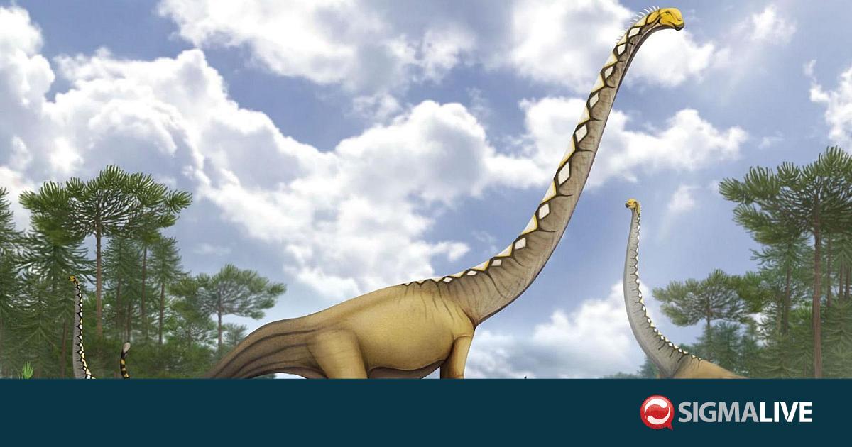 &Tau;&alpha;ϊ&lambda;ά&nu;&delta;&eta;: &Alpha;&nu;&alpha;&kappa;&alpha;&lambda;ύ&phi;&theta;&eta;&kappa;&epsilon; &nu;έ&omicron; &epsilon;ί&delta;&omicron;&sigmaf; &delta;&epsilon;&iota;&nu;&omicron;&sigma;&alpha;ύ&rho;&omicron;&upsilon; &mu;&epsilon; &alpha;&sigma;&upsilon;&nu;ή&theta;&iota;&sigma;&tau;&alpha; &mu;&alpha;&kappa;&rho;ύ &lambda;&alpha;&iota;&mu;ό