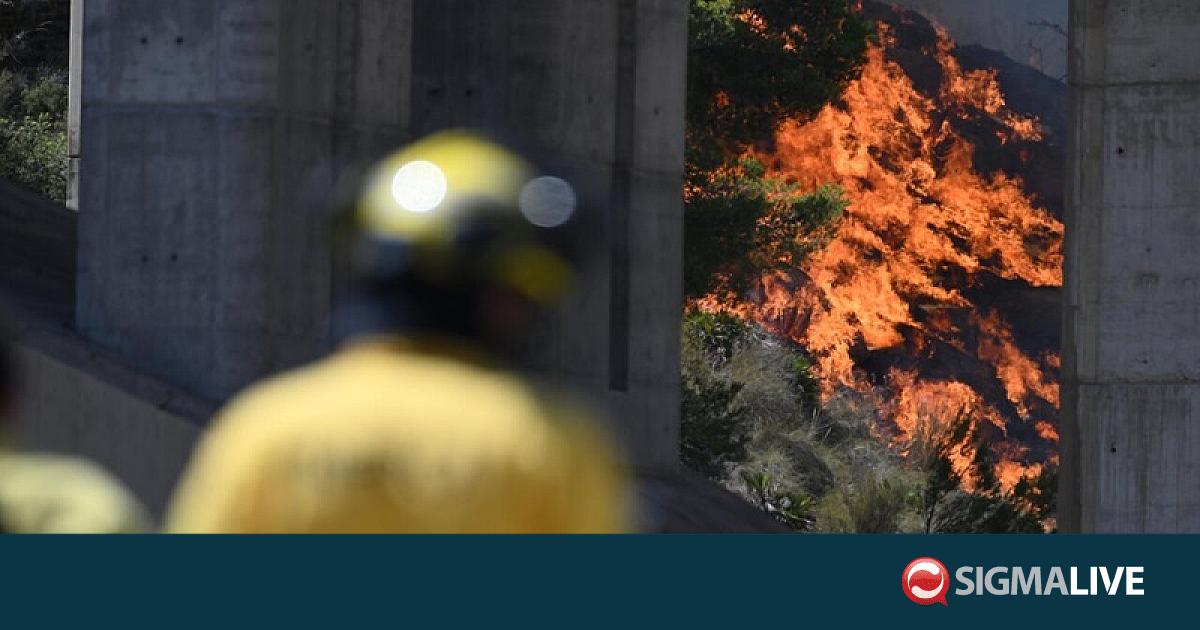 &Rho;&omega;&sigma;ί&alpha;: &Pi;&upsilon;&rho;&kappa;&alpha;&gamma;&iota;ά &sigma;&epsilon; &beta;&iota;&omicron;&mu;&eta;&chi;&alpha;&nu;&iota;&kappa;ή &zeta;ώ&nu;&eta; έ&pi;&epsilon;&iota;&tau;&alpha; &alpha;&pi;ό &omicron;&upsilon;&kappa;&rho;&alpha;&nu;&iota;&kappa;ή &epsilon;&pi;&iota;&delta;&rho;&omicron;&mu;ή (&Beta;&Iota;&Nu;&Tau;&Epsilon;&Omicron;)