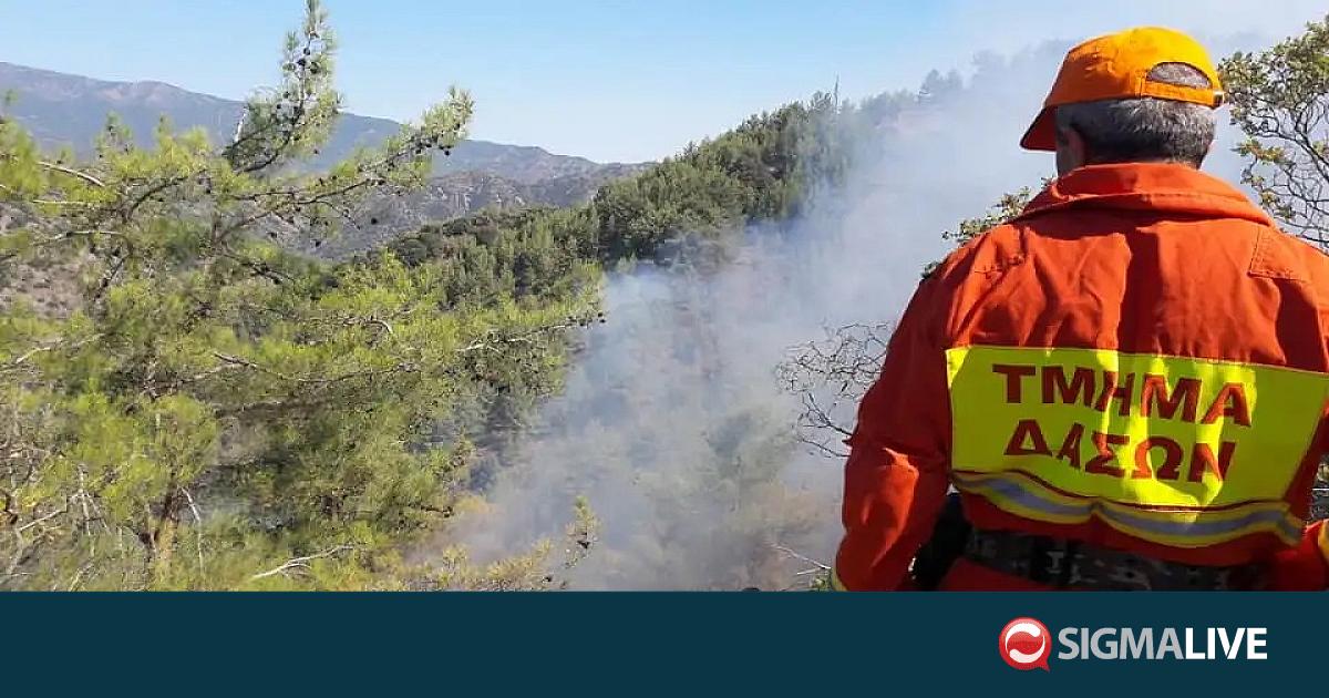 &Mu;&pi;&alpha;&rho;ά&zeta; &pi;&upsilon;&rho;&kappa;&alpha;&gamma;&iota;ώ&nu; &kappa;&omicron;&nu;&tau;ά &sigma;&tau;&omicron; &kappa;&rho;&alpha;&tau;&iota;&kappa;ό &delta;ά&sigma;&omicron;&sigmaf; &Tau;&rho;&omicron;ό&delta;&omicron;&upsilon;&sigmaf;