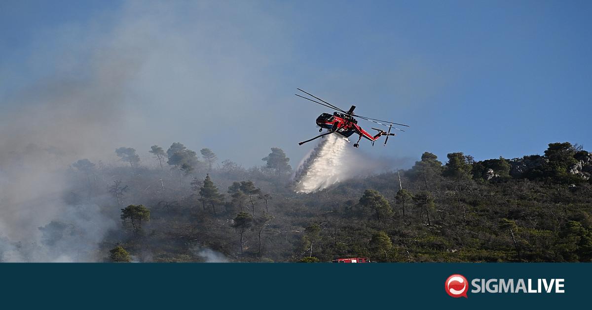 &Mu;&epsilon;&gamma;ά&lambda;&eta; &phi;&omega;&tau;&iota;ά &sigma;&tau;&eta;&nu; &Kappa;&rho;ή&tau;&eta;: &Mu;ή&nu;&upsilon;&mu;&alpha; &sigma;&tau;&omicron;&upsilon;&sigmaf; &kappa;&alpha;&tau;&omicron;ί&kappa;&omicron;&upsilon;&sigmaf; &tau;&omicron;&upsilon; &Xi;&epsilon;&rho;ό&kappa;&alpha;&mu;&pi;&omicron;&upsilon; &alpha;&pi;ό &tau;&omicron; 112