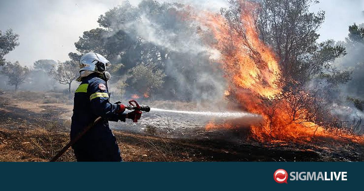 &Sigma;&epsilon; &epsilon;&pi;ί&pi;&epsilon;&delta;&omicron; &laquo;&Kappa;ό&kappa;&kappa;&iota;&nu;&omicron;&upsilon; &Sigma;&upsilon;&nu;&alpha;&gamma;&epsilon;&rho;&mu;&omicron;ύ&raquo; &tau;&eta;&nu; &Kappa;&upsilon;&rho;&iota;&alpha;&kappa;ή &omicron; &kappa;ί&nu;&delta;&upsilon;&nu;&omicron;&sigmaf; &pi;&rho;ό&kappa;&lambda;&eta;&sigma;&eta;&sigmaf; &pi;&upsilon;&rho;&kappa;&alpha;&gamma;&iota;ώ&nu;