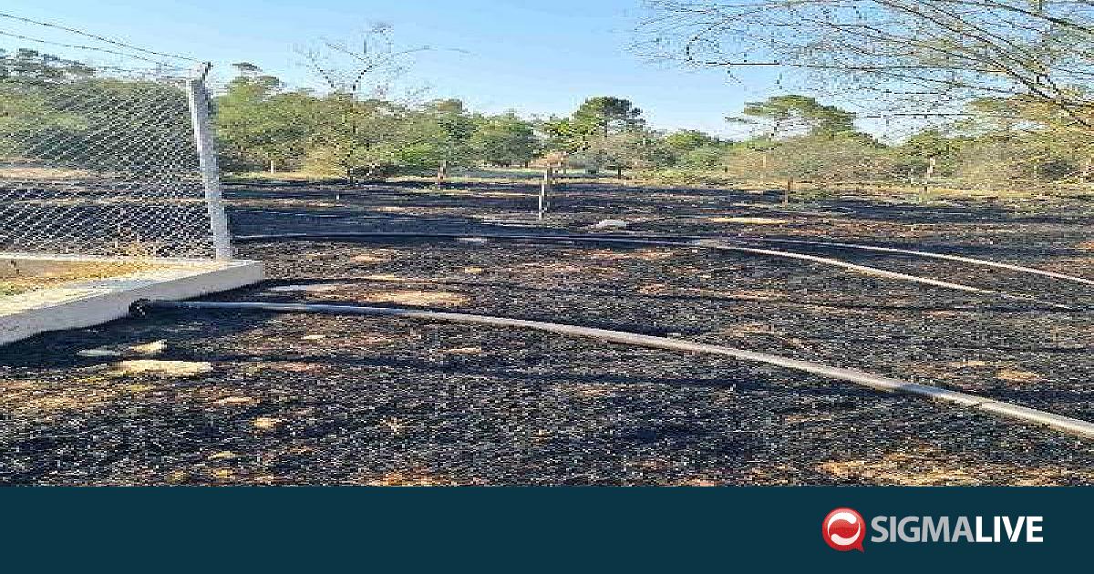 &Upsilon;&pi;ό έ&lambda;&epsilon;&gamma;&chi;&omicron; &pi;&upsilon;&rho;&kappa;&alpha;&gamma;&iota;ά &sigma;&tau;&omicron; &Epsilon;&theta;&nu;&iota;&kappa;ό &Pi;ά&rho;&kappa;&omicron; &laquo;&Pi;&alpha;&iota;&delta;&alpha;&gamma;&omega;&gamma;&iota;&kappa;ή&sigmaf; &Alpha;&kappa;&alpha;&delta;&eta;&mu;ί&alpha;&sigmaf;&raquo; (vid)