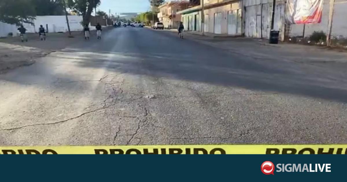&Mu;&epsilon;&xi;&iota;&kappa;ό: &Delta;έ&kappa;&alpha; &pi;&tau;ώ&mu;&alpha;&tau;&alpha; &epsilon;&nu;&tau;&omicron;&pi;ί&zeta;&omicron;&nu;&tau;&alpha;&iota; &sigma;&tau;&eta;&nu; &pi;&omicron;&lambda;&iota;&tau;&epsilon;ί&alpha; &Sigma;&alpha;&kappa;&alpha;&tau;έ&kappa;&alpha;&sigmaf;