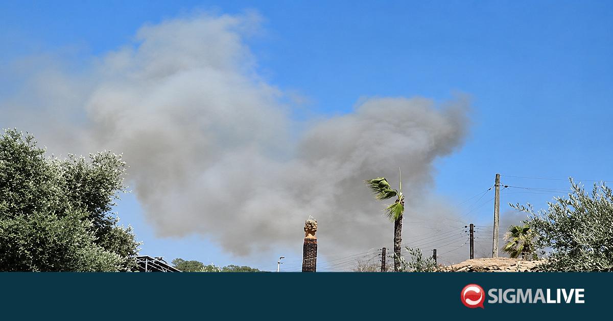 &Beta;&Iota;&Nu;&Tau;&Epsilon;&Omicron;: &Pi;&upsilon;&rho;&kappa;&alpha;&gamma;&iota;ά &kappa;&omicron;&nu;&tau;ά &sigma;&epsilon; &kappa;&alpha;&tau;&omicron;&iota;&kappa;ί&epsilon;&sigmaf; &sigma;&tau;&alpha; &Pi;&upsilon;&rho;&gamma;ά
