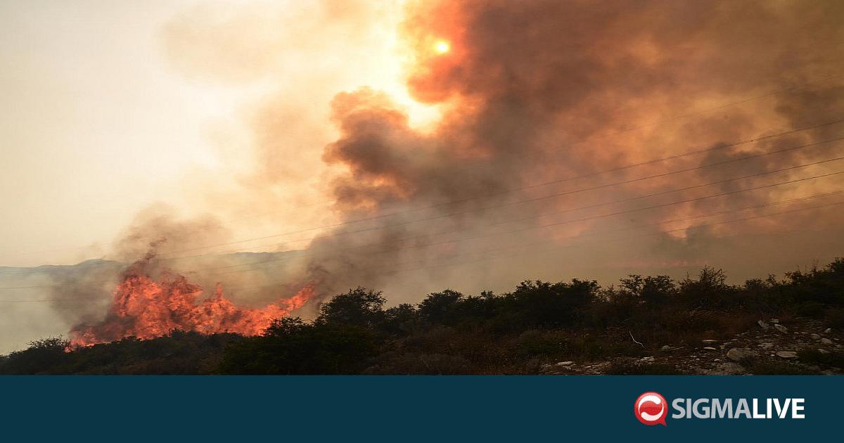 &Sigma;&epsilon; &epsilon;&pi;ί&pi;&epsilon;&delta;&omicron; &laquo;&Kappa;ό&kappa;&kappa;&iota;&nu;&omicron;&upsilon; &Sigma;&upsilon;&nu;&alpha;&gamma;&epsilon;&rho;&mu;&omicron;ύ&raquo; &omicron; &kappa;ί&nu;&delta;&upsilon;&nu;&omicron;&sigmaf; έ&kappa;&rho;&eta;&xi;&eta;&sigmaf; &pi;&upsilon;&rho;&kappa;&alpha;&gamma;&iota;ώ&nu; &tau;&eta;&nu; &Tau;&epsilon;&tau;ά&rho;&tau;&eta;